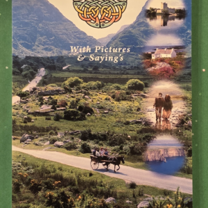 An Irish Note book