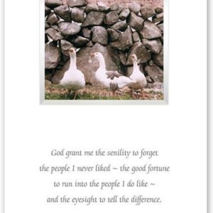 Senility Prayer Framed